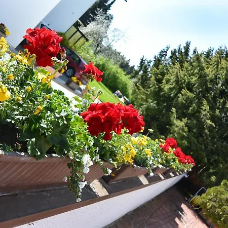 Eichinger Apartment 3*